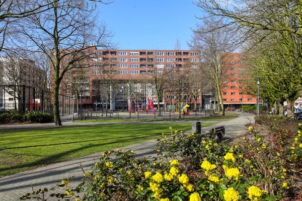 Te huur: Appartement Kipstraat 33 F in Rotterdam