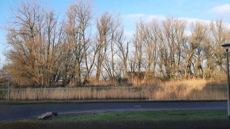 Appartement aan de Het Haam in Arnhem
