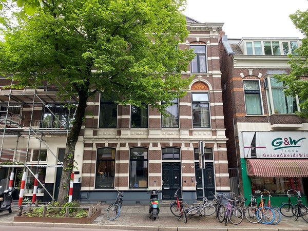 Westersingel in Groningen
