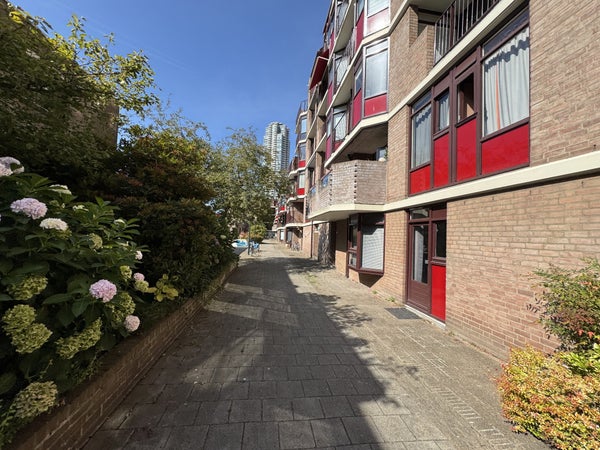 Piso Jufferkade en Rotterdam