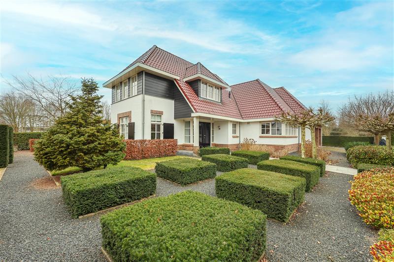Hoge Bergse Bos