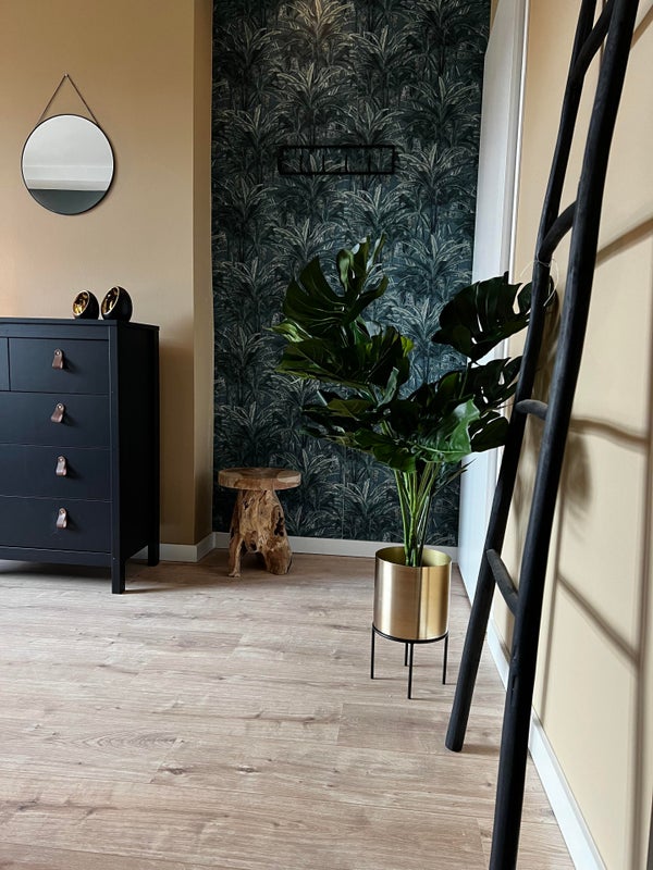 Kamer Mijnsherenlaan