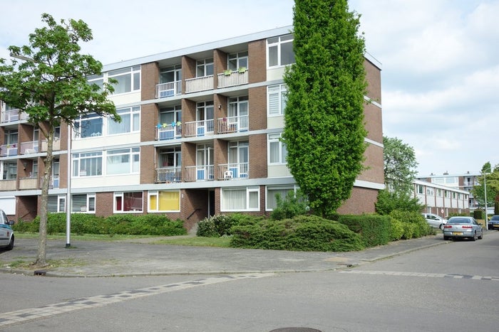 Te huur: Appartement Newtonstraat in Nijmegen