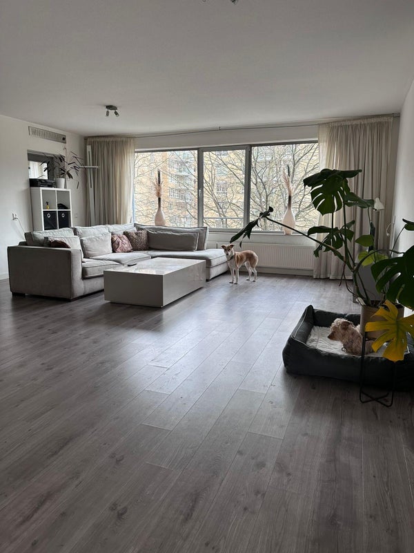 Te huur Appartement Mariniersweg in Rotterdam