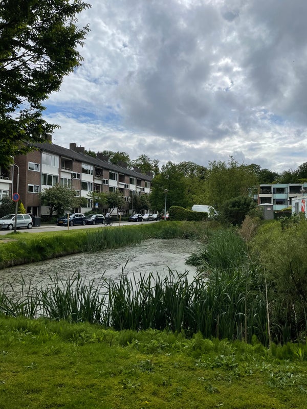 Rental Apartments Amersfoort