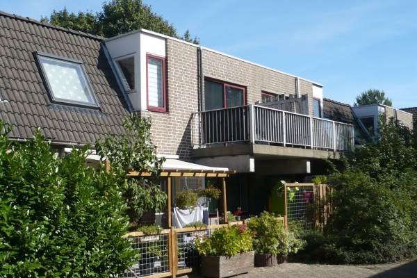 Ringspoor
