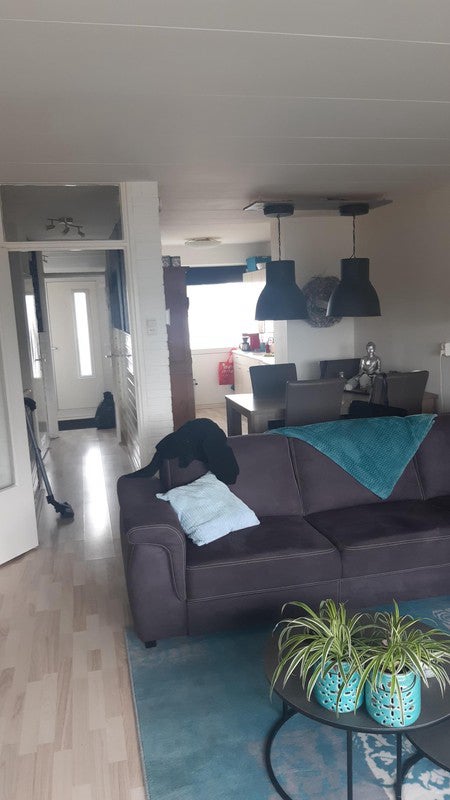 Flat Bellatrixstraat in IJmuiden