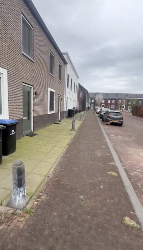 Appartement Binnendoorstraat in Hoef en Haag