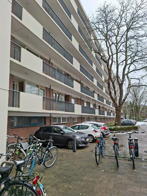 Te huur Kamer Professor Cobbenhagenlaan 94 k2 in Tilburg