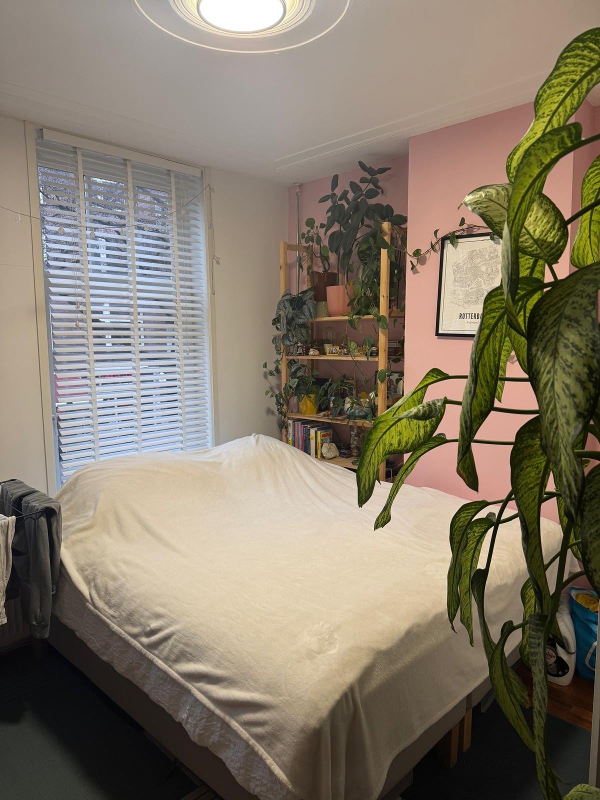 Kamer te huur: Kortekade 17A-1, Rotterdam