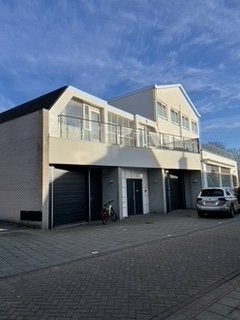 Steijnstraat