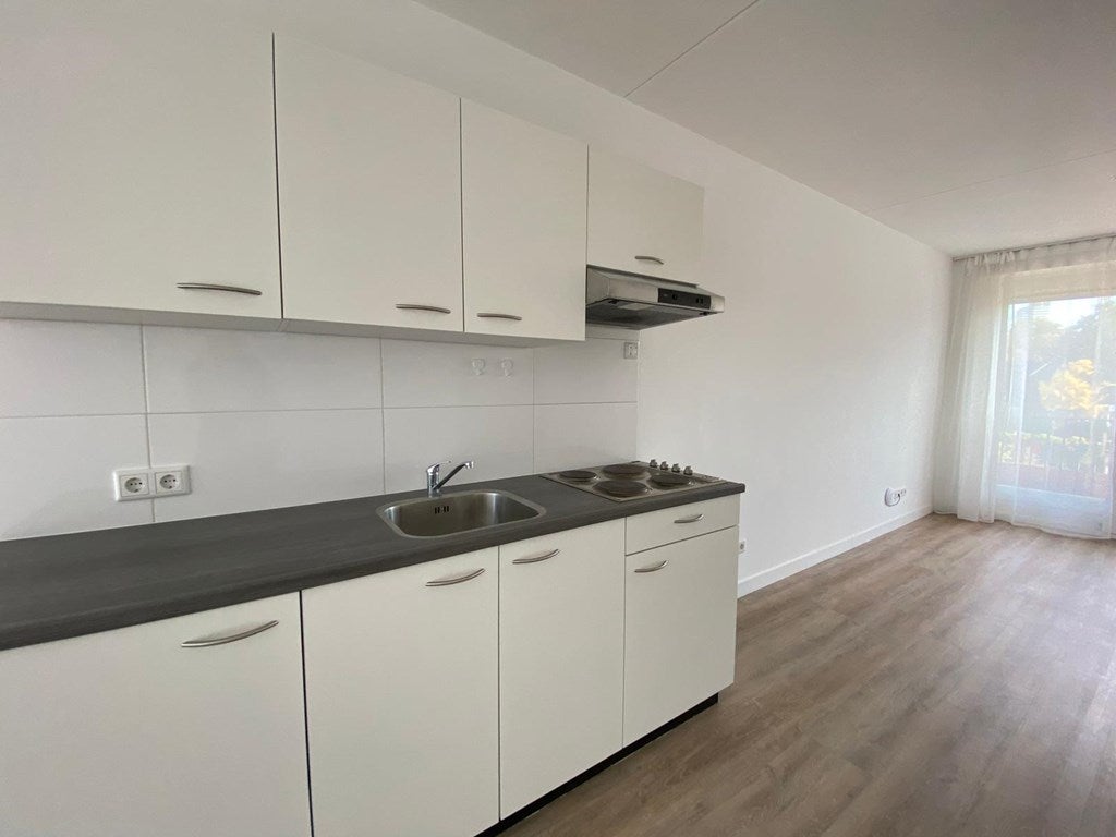 Woning te huur: Rapenlandstraat, Eindhoven