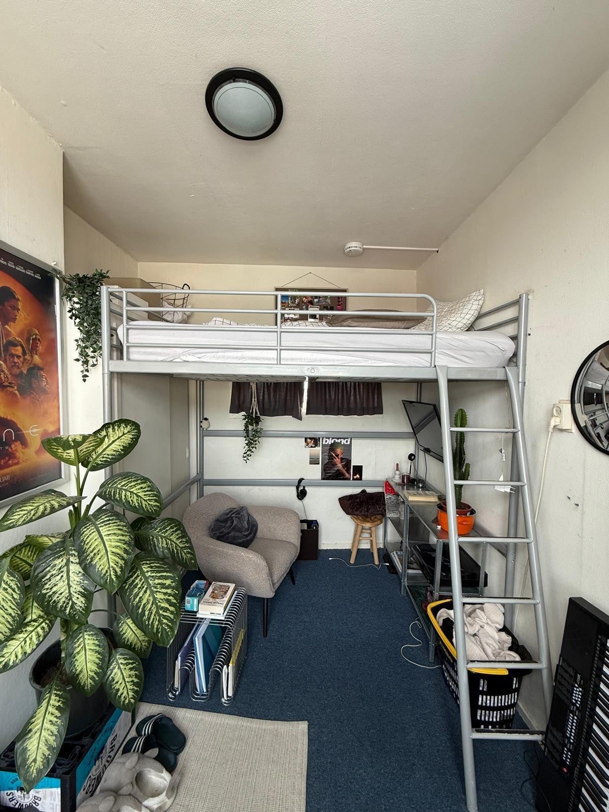 Room Oude Ebbingestraat