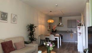 Woning te huur: Ericastraat, Eindhoven