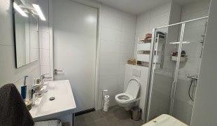 Woning te huur: Ericastraat, Eindhoven