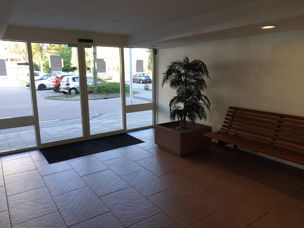 A rental house advertisment