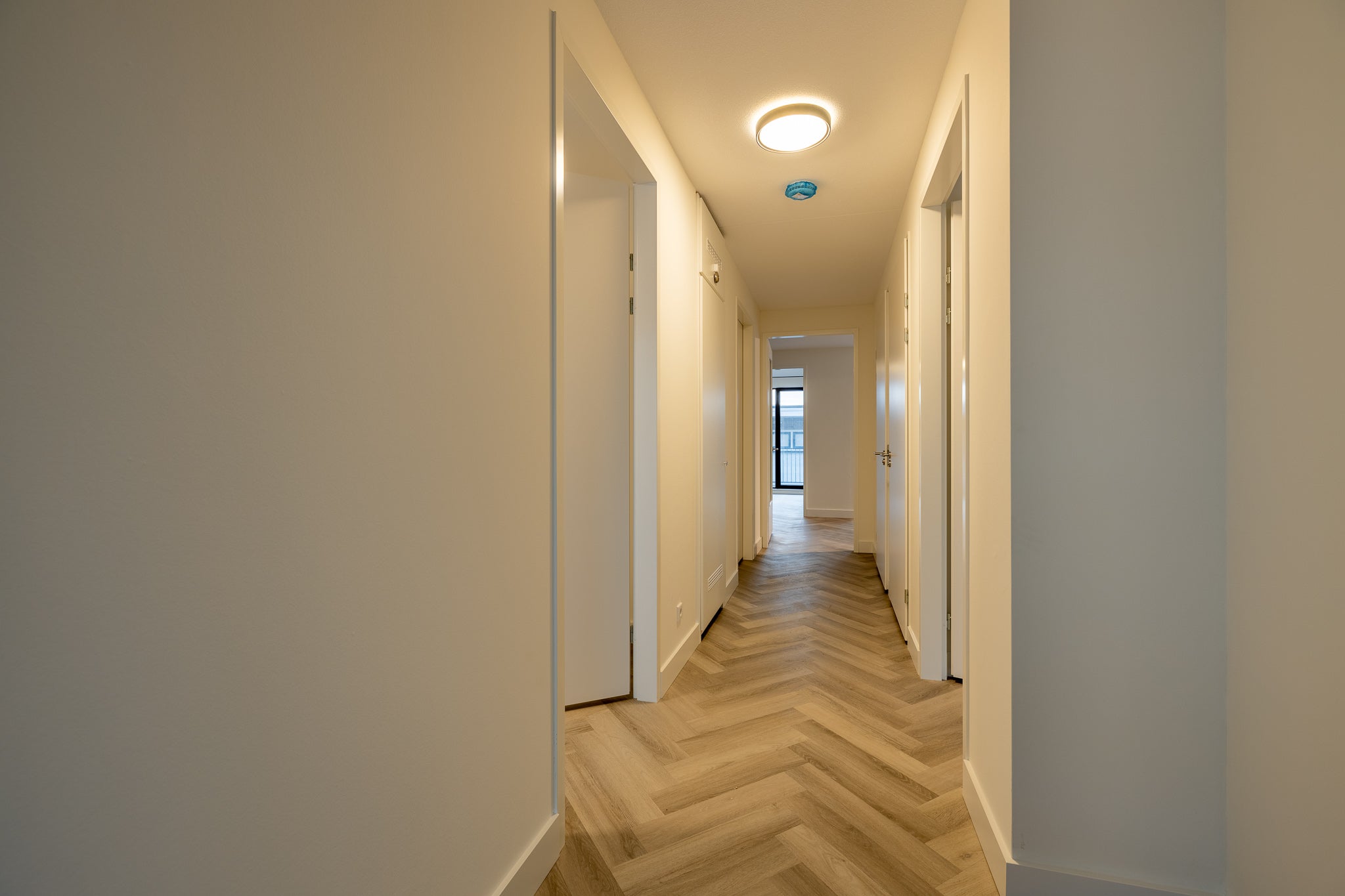 Te huur Appartement Ir Kalffstraat in Eindhoven