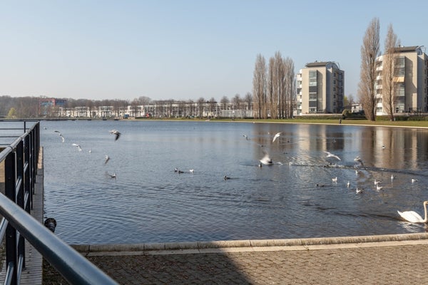 Appartement Laan naar Emiclaer in Amersfoort