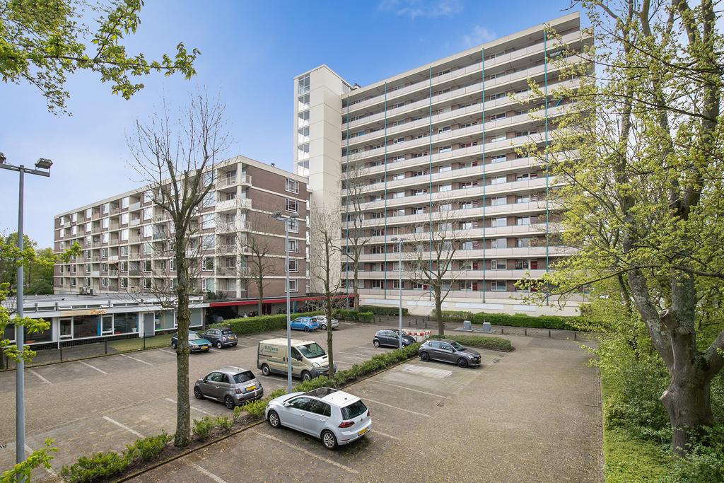 Te huur Appartement Wilgenplaslaan in Rotterdam