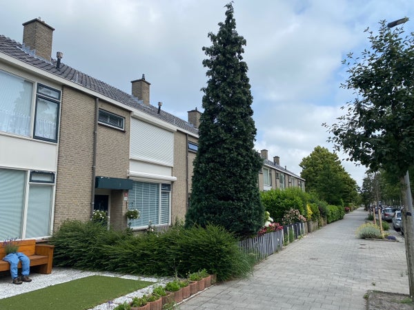 Huis Aalreep in Hoogvliet Rotterdam