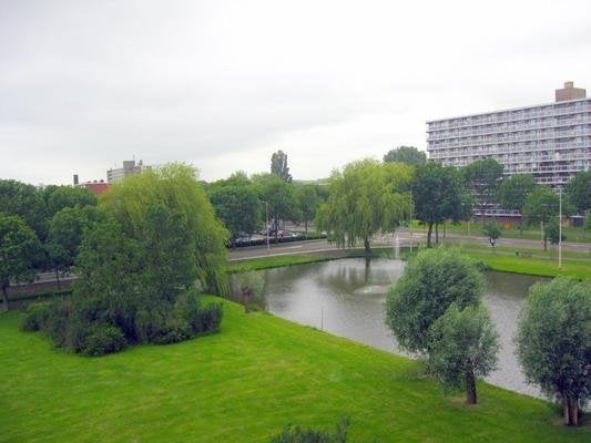 Te huur: Appartement Akeleistraat in Spijkenisse