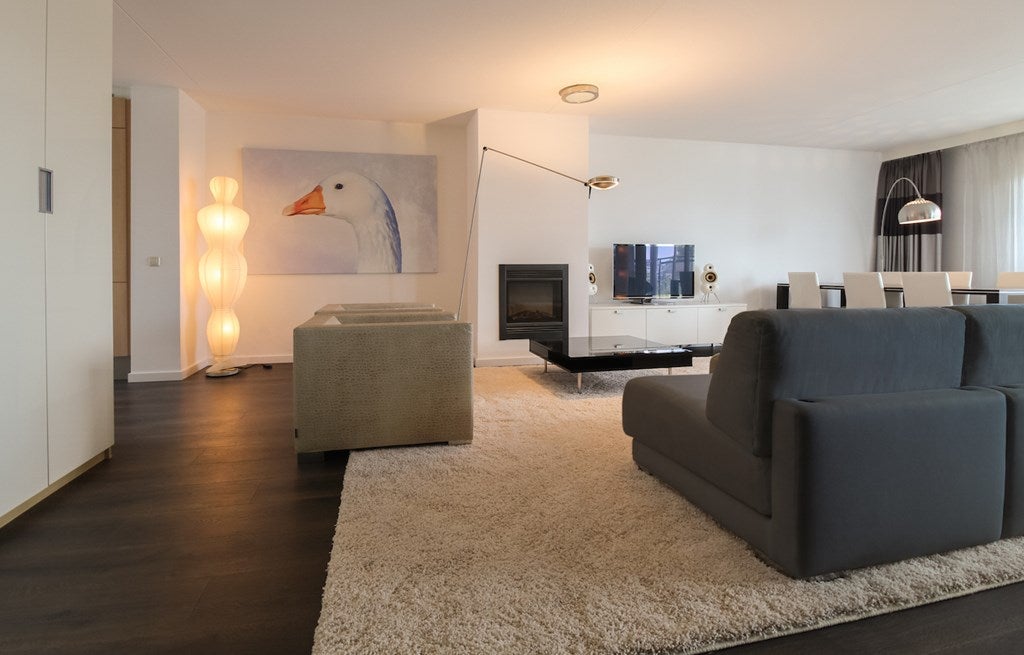 Appartement te huur: Pieter de Hoochstraat 19F, Amsterdam