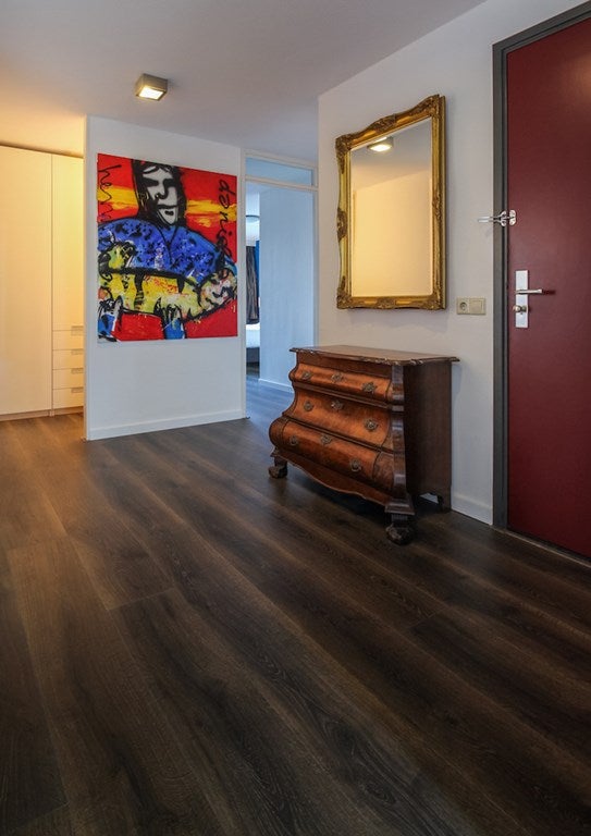Appartement te huur: Pieter de Hoochstraat 19F, Amsterdam