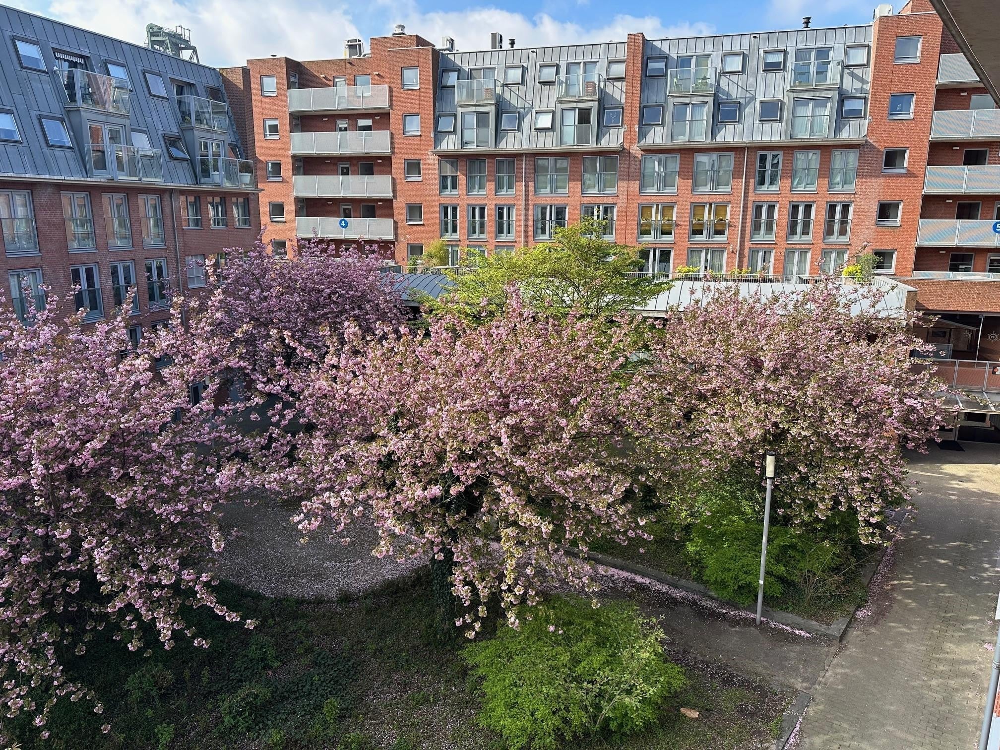 Appartement te huur: Prins Frederikplein 436, Rotterdam