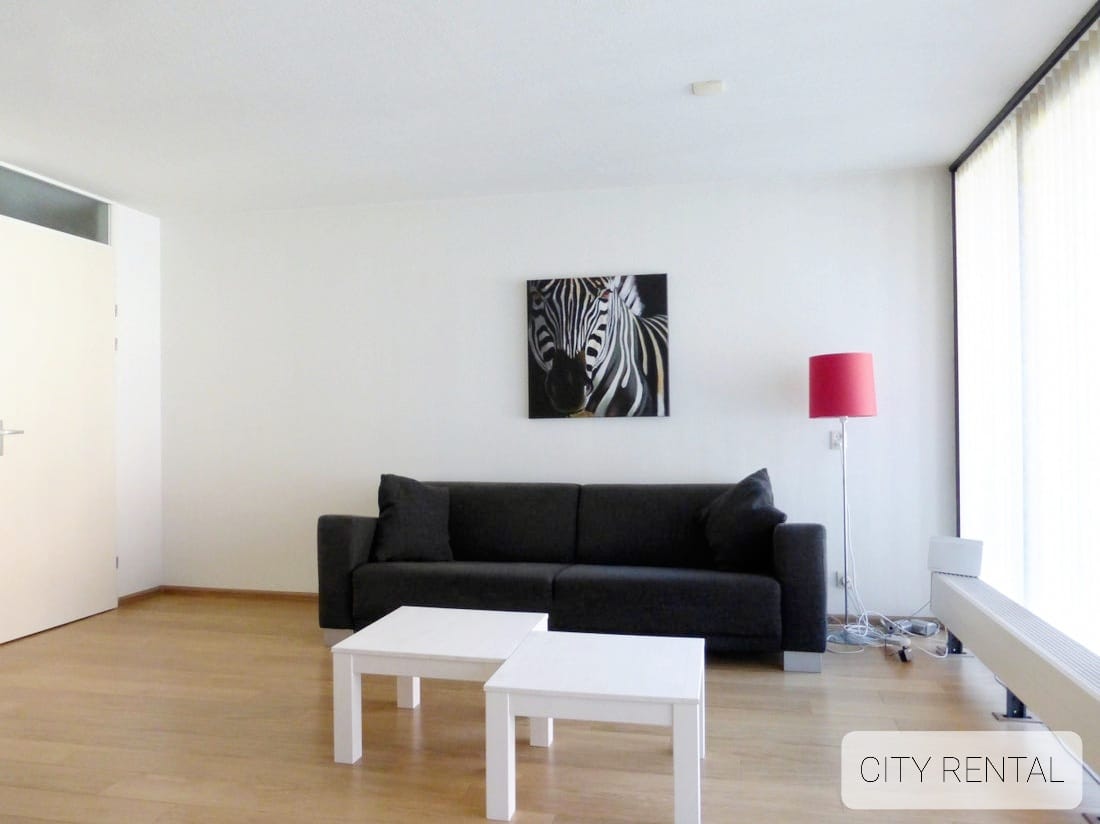 Woning te huur: Puck van Heelstraat, Rotterdam