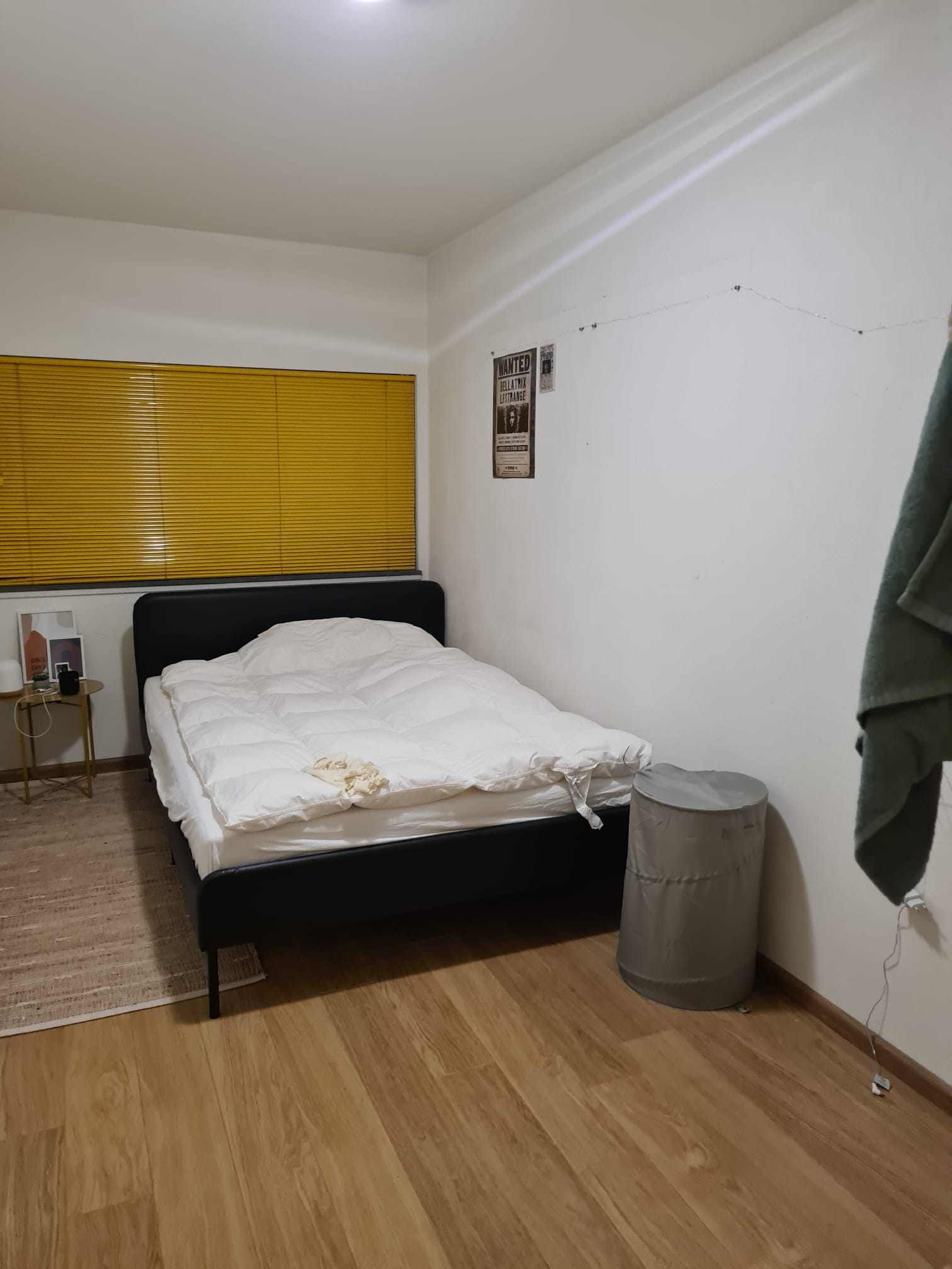 Woning te huur: Puck van Heelstraat, Rotterdam