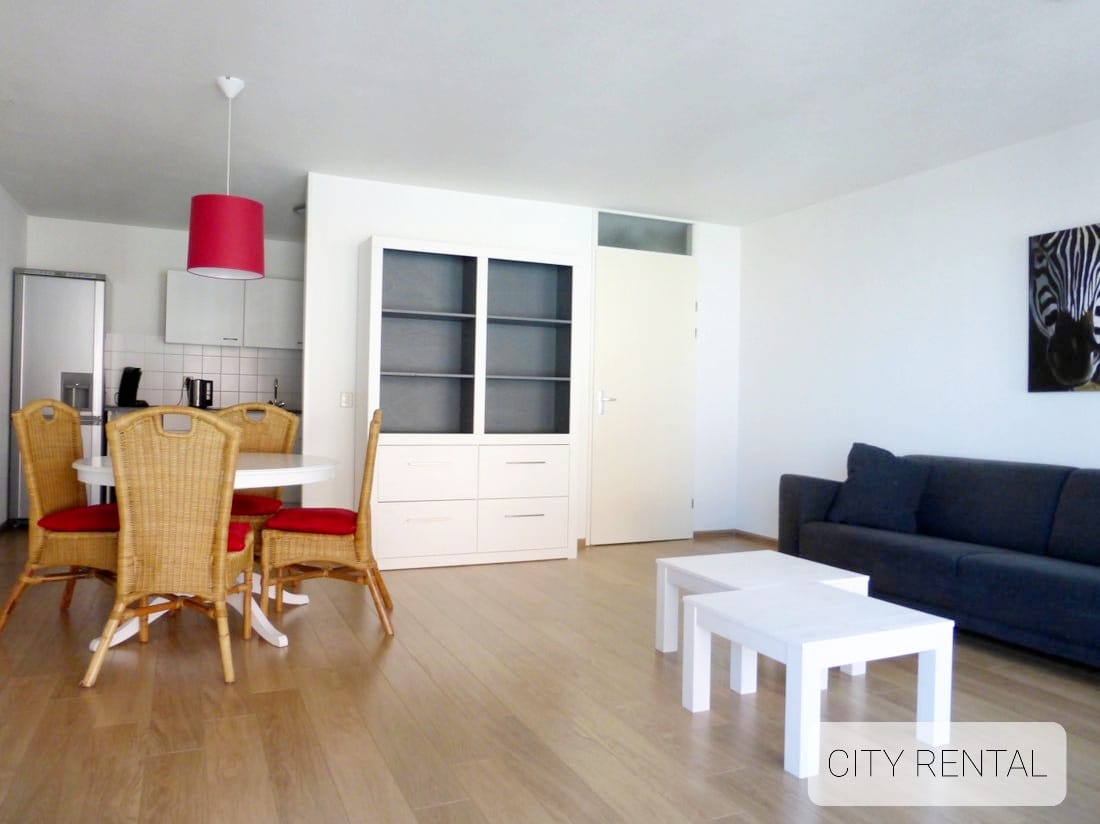 Woning te huur: Puck van Heelstraat, Rotterdam