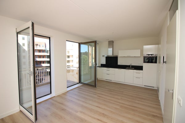 Flat Carel Willinkgracht 813 a in Diemen