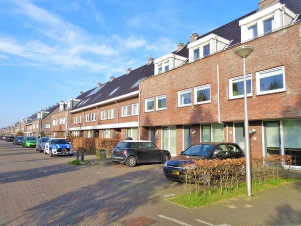 Paardenbloemsingel