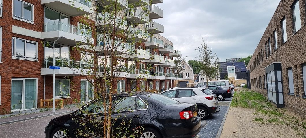 Josephus Swolfsstraat