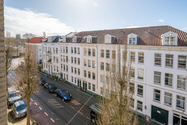 Flat Plantage Doklaan in Amsterdam