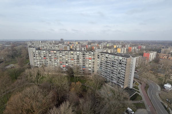 Flat Griegplein 117 in Schiedam