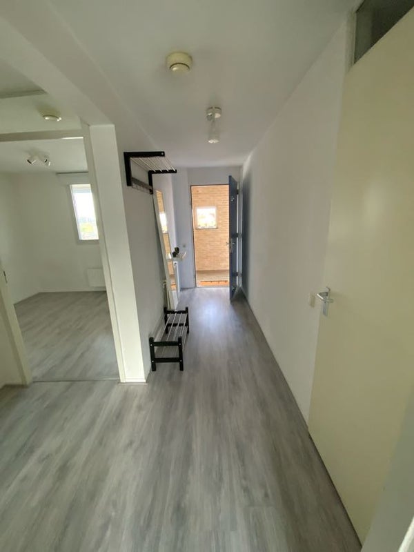 Te huur Appartement Kipstraat 33 M in Rotterdam