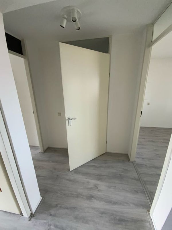 Te huur Appartement Kipstraat 33 M in Rotterdam