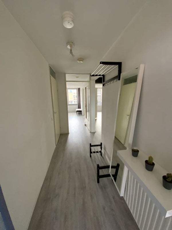 Te huur Appartement Kipstraat 33 M in Rotterdam