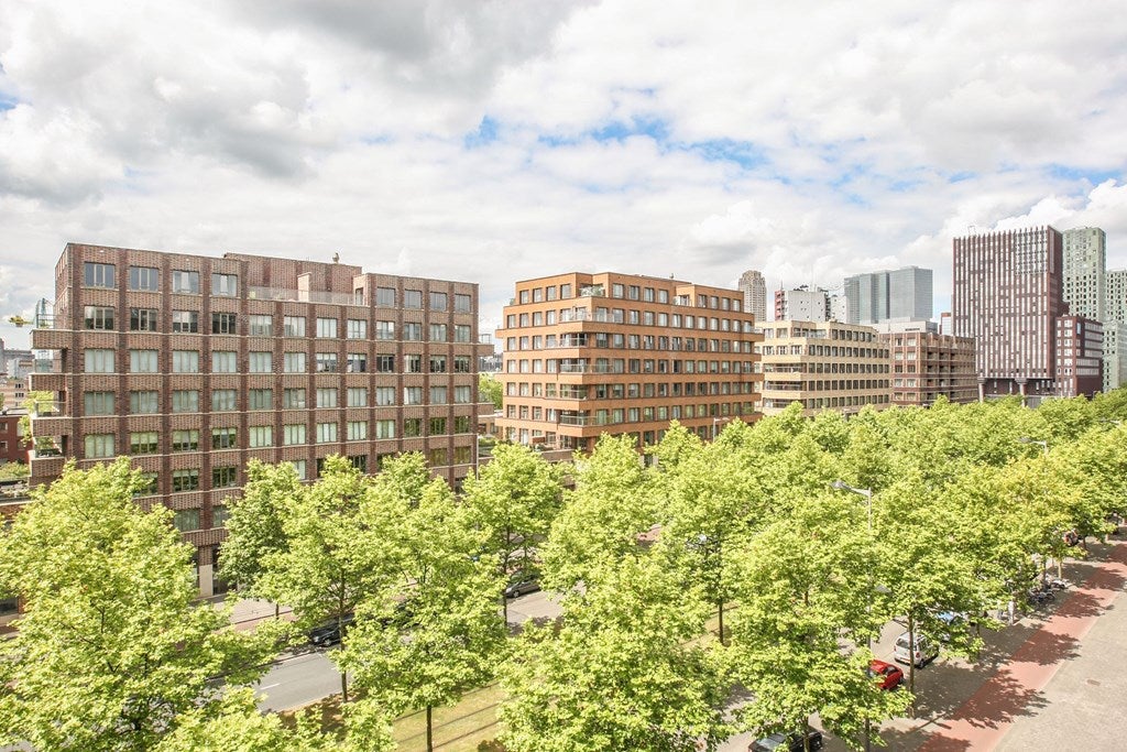 Woning te huur: Laan op Zuid, Rotterdam