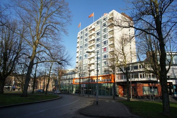 Hereplein