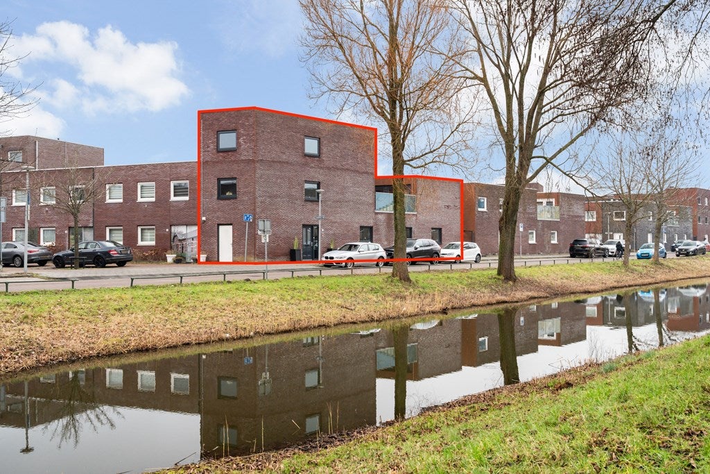 Alikruiksingel
