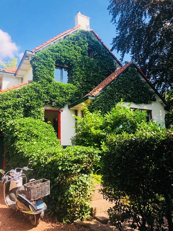 Houses for rent Rotterdam