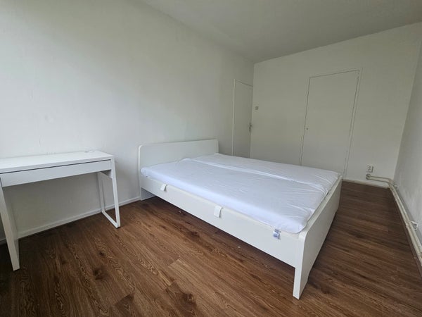 Studio Europalaan in Tilburg