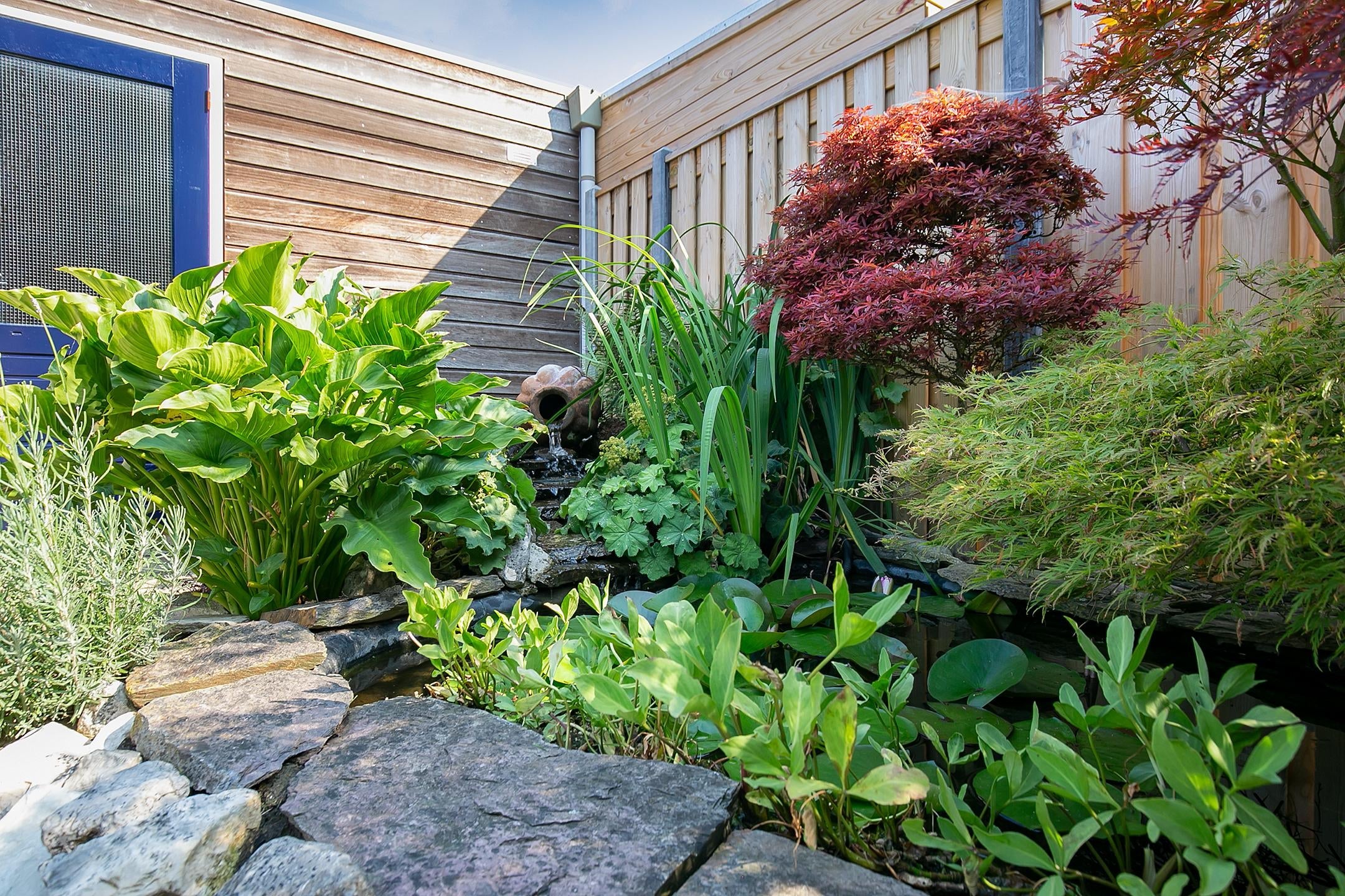 Woning te huur: Johannes Vermeerstraat, Almere