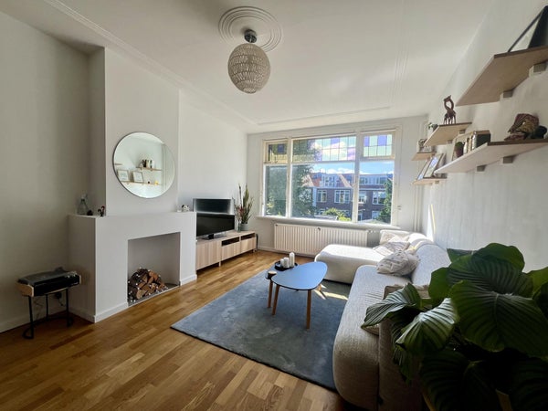 Te huur: Appartement Druivenstraat 48 in Den Haag