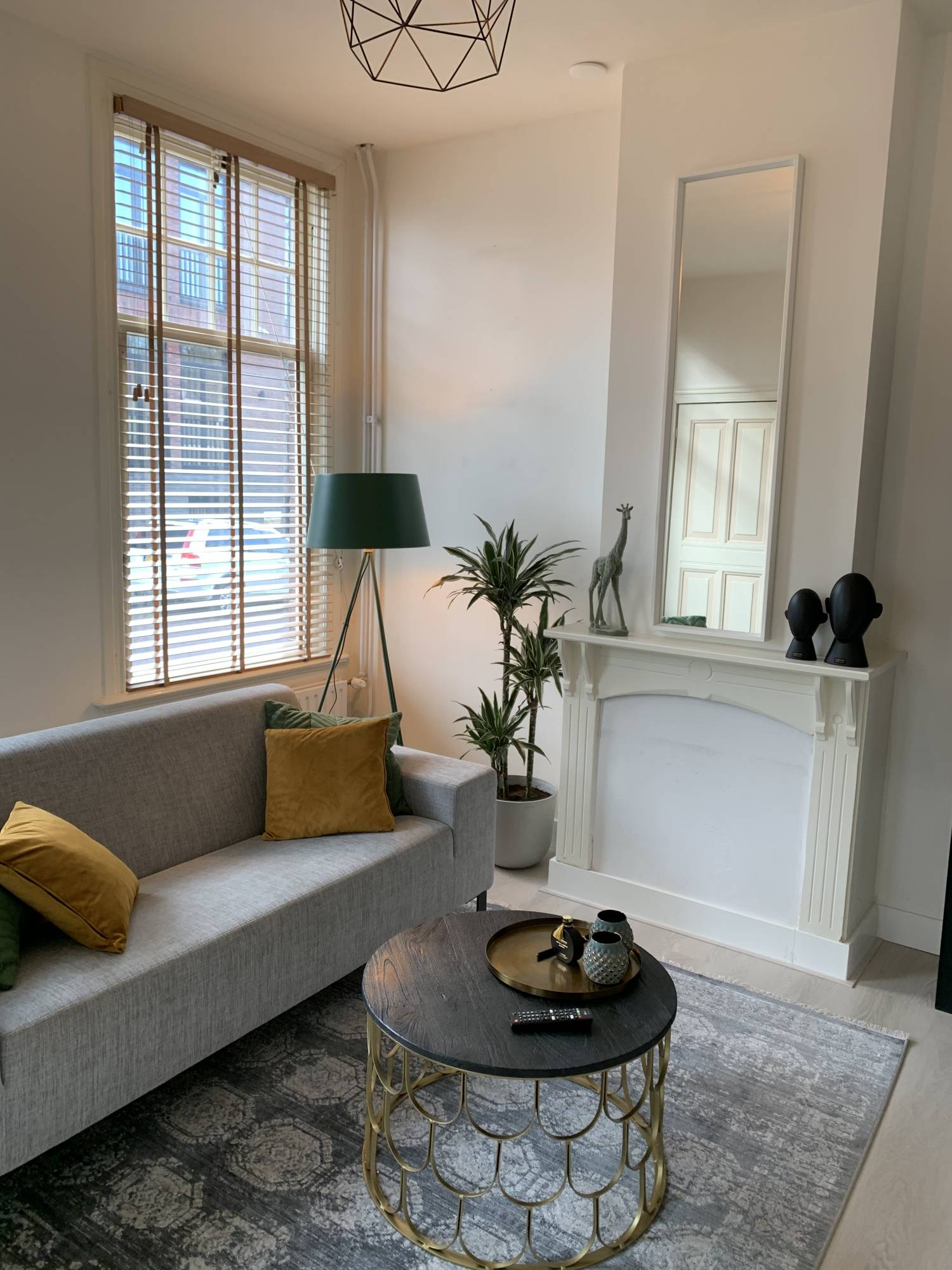 Woning te koop: Seisdam, Middelburg