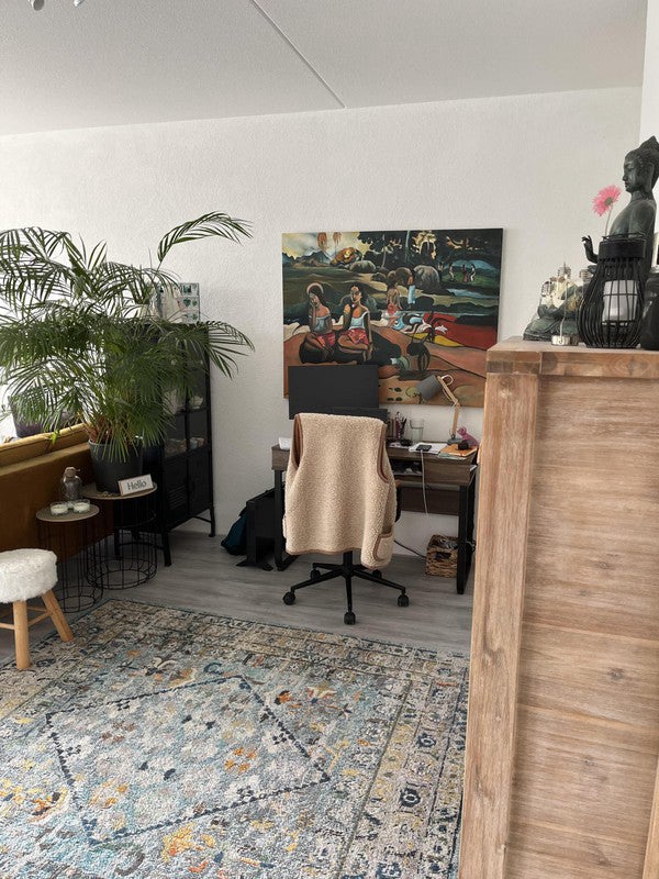 Appartement Zakedijkje in Bergen (nh)
