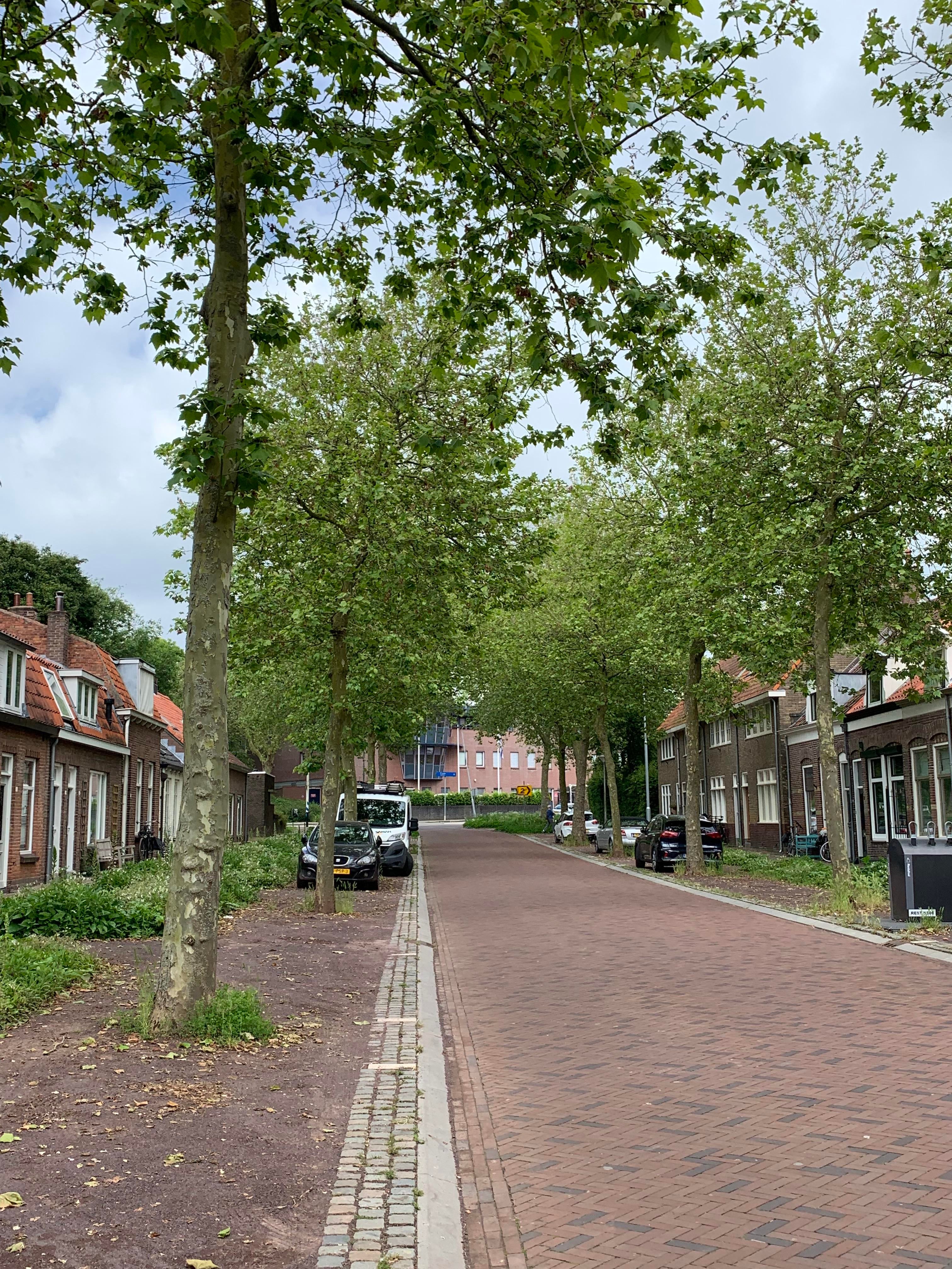 Woning te huur: Klein Vlaanderen, Middelburg