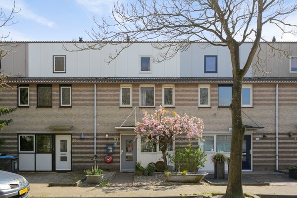 Studio Lelieberg in Roosendaal